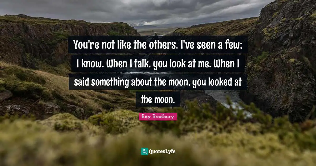 Look At Me Quotes: "You're not like the others. I've seen a few; I know. When I talk, you look at me. When I said something about the moon, you looked at the moon."