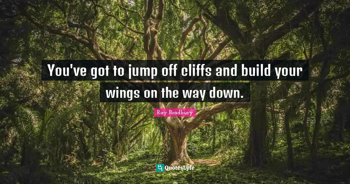 You've got to jump off cliffs and build your wings on the way down.