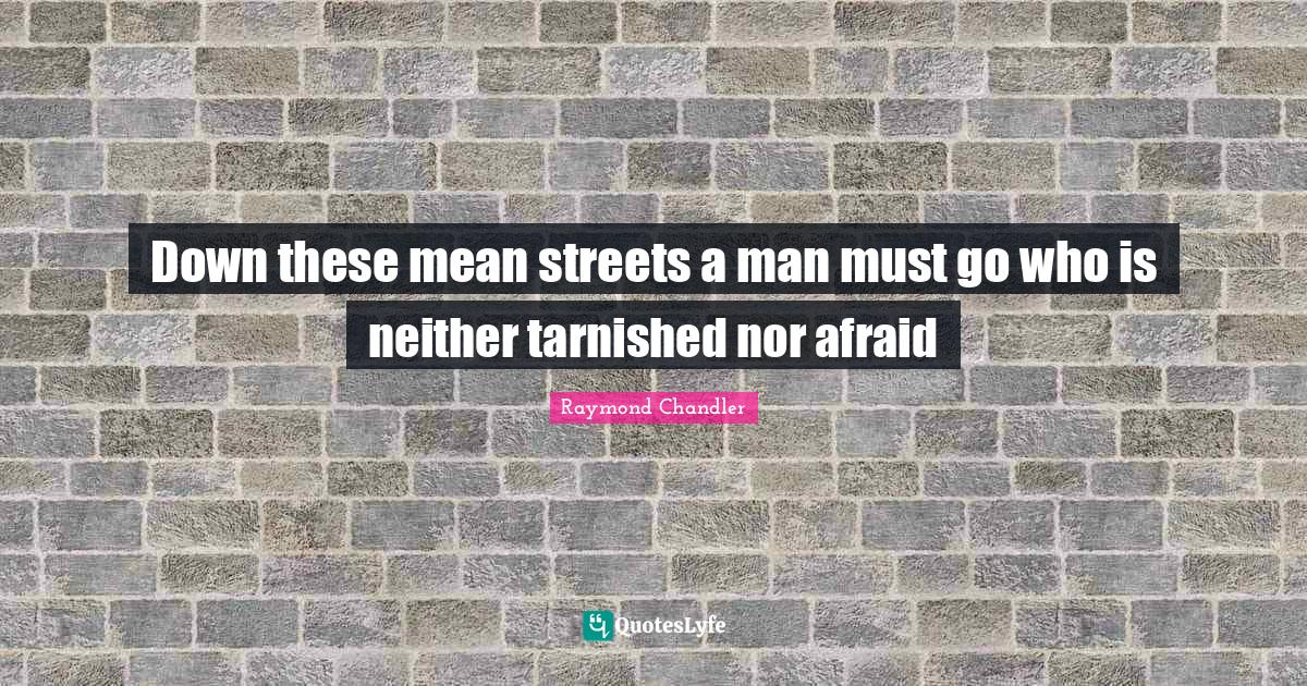 Down these mean streets a man must go who is neither tarnished nor afr