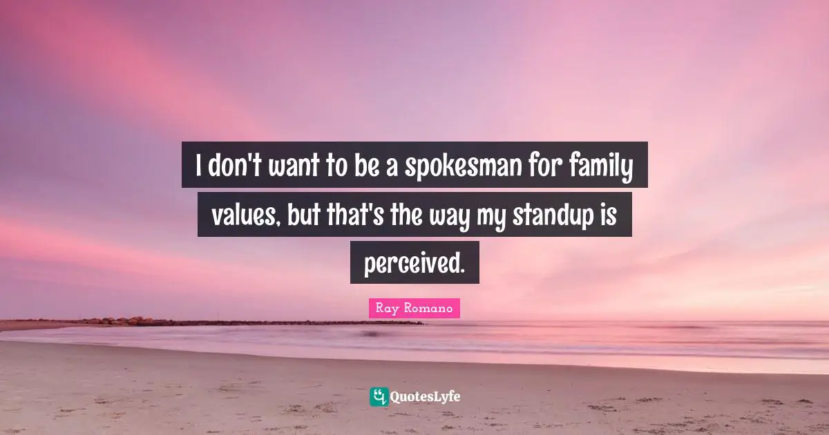 I don't want to be a spokesman for family values, but that's the way my standup is perceived.