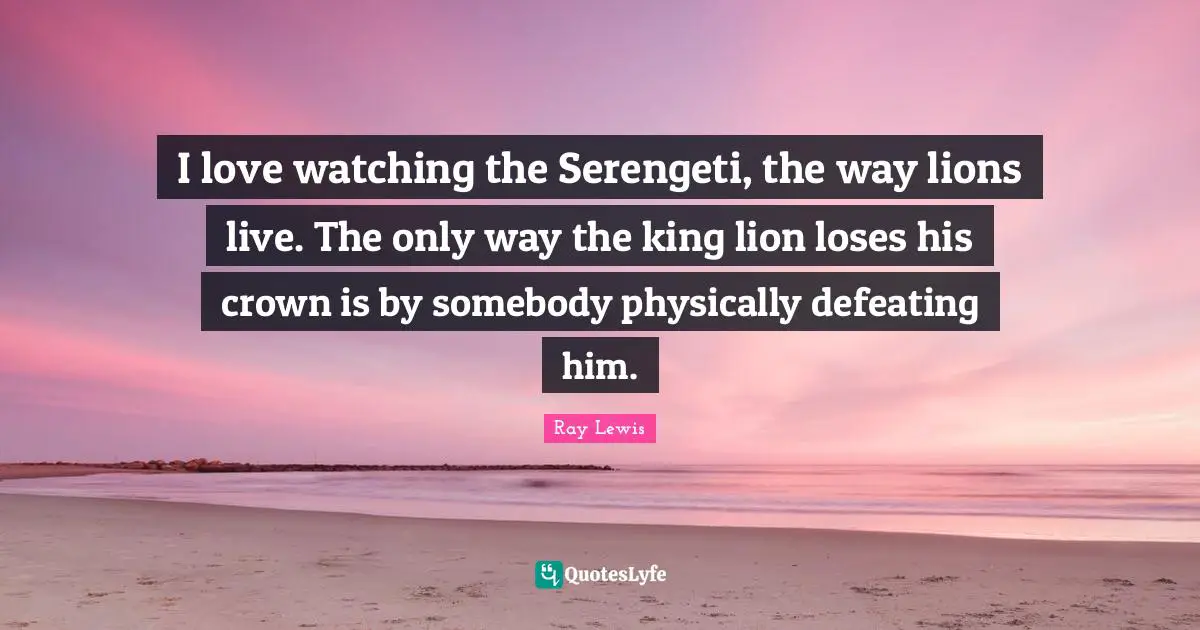 I love watching the Serengeti, the way lions live. The only way the king lion loses his crown is by somebody physically defeating him.