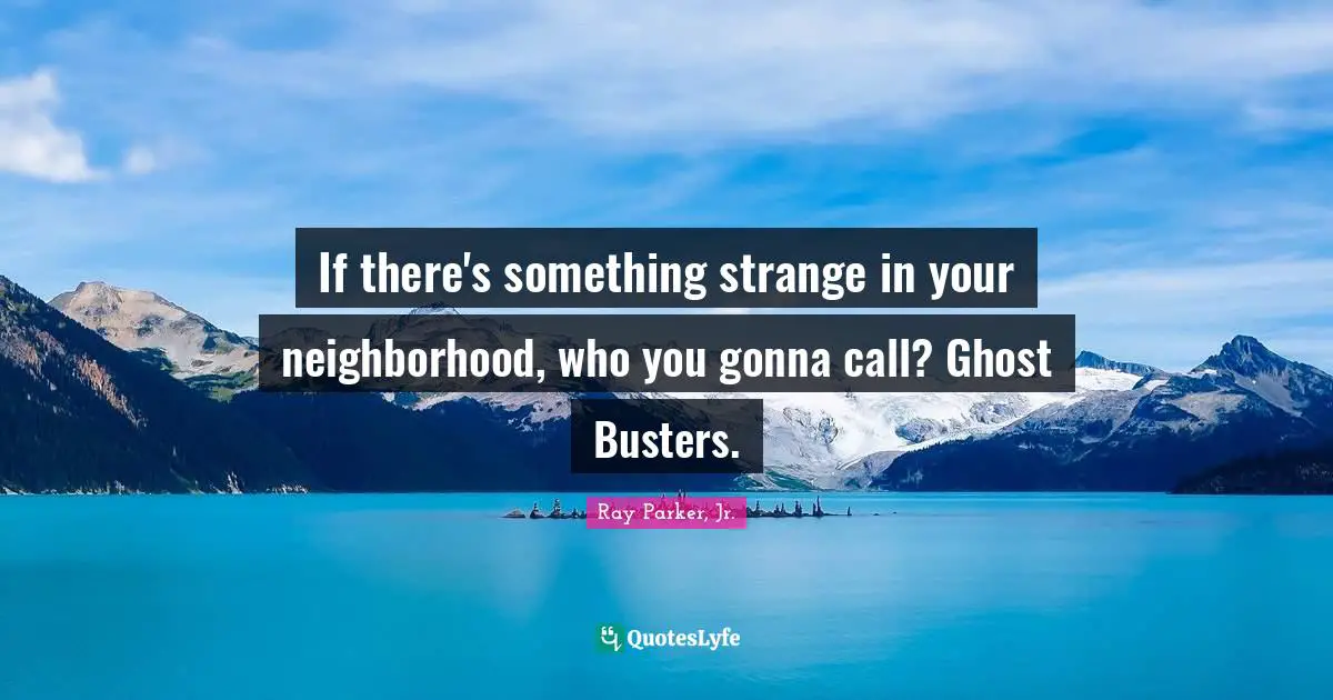 If there's something strange in your neighborhood, who you gonna call? Ghost Busters.