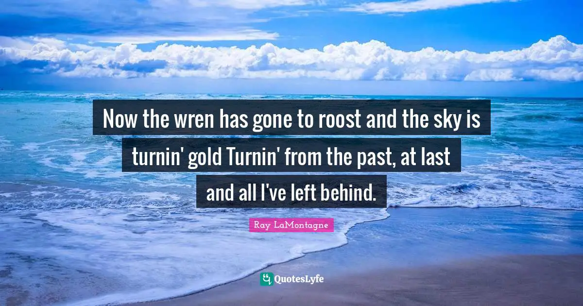 Now the wren has gone to roost and the sky is turnin' gold Turnin' from the past, at last and all I've left behind.