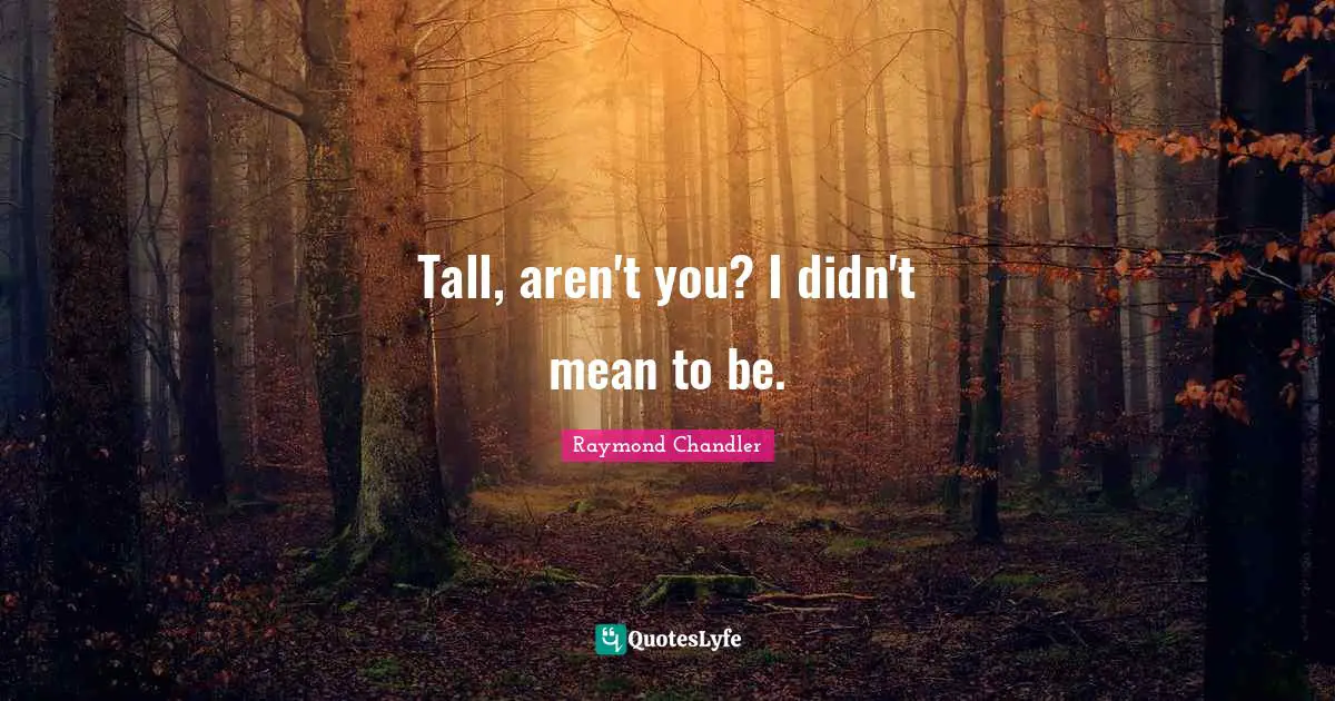 Tall, aren't you? I didn't mean to be.