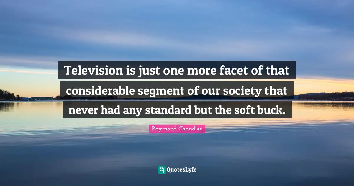 Television is just one more facet of that considerable segment of our society that never had any standard but the soft buck.