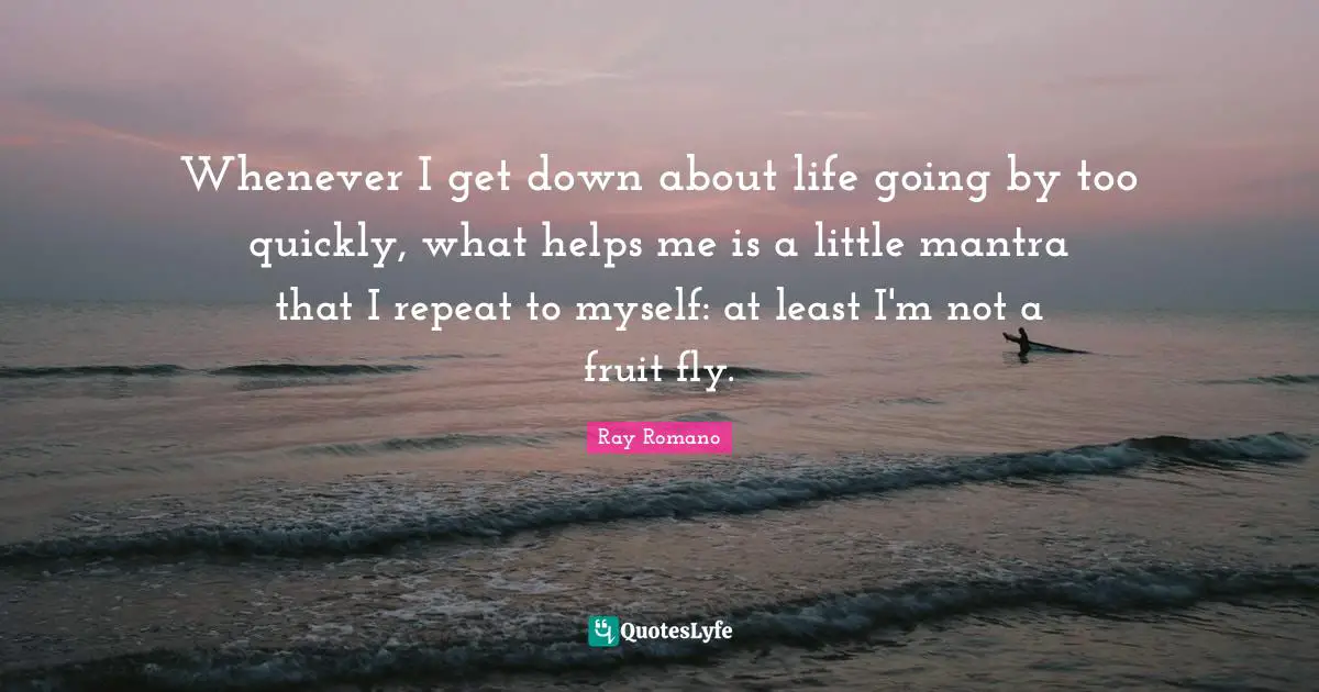 Whenever I get down about life going by too quickly, what helps me is a little mantra that I repeat to myself: at least I'm not a fruit fly.