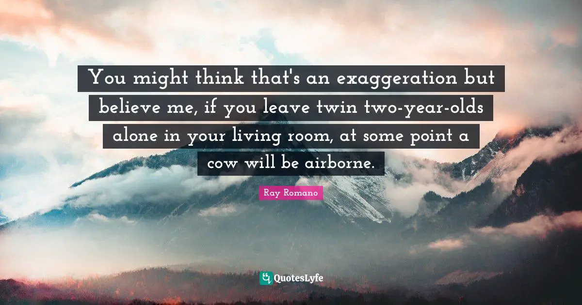 You might think that's an exaggeration but believe me, if you leave twin two-year-olds alone in your living room, at some point a cow will be airborne.