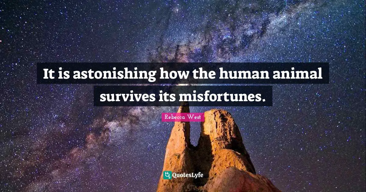 It is astonishing how the human animal survives its misfortunes.