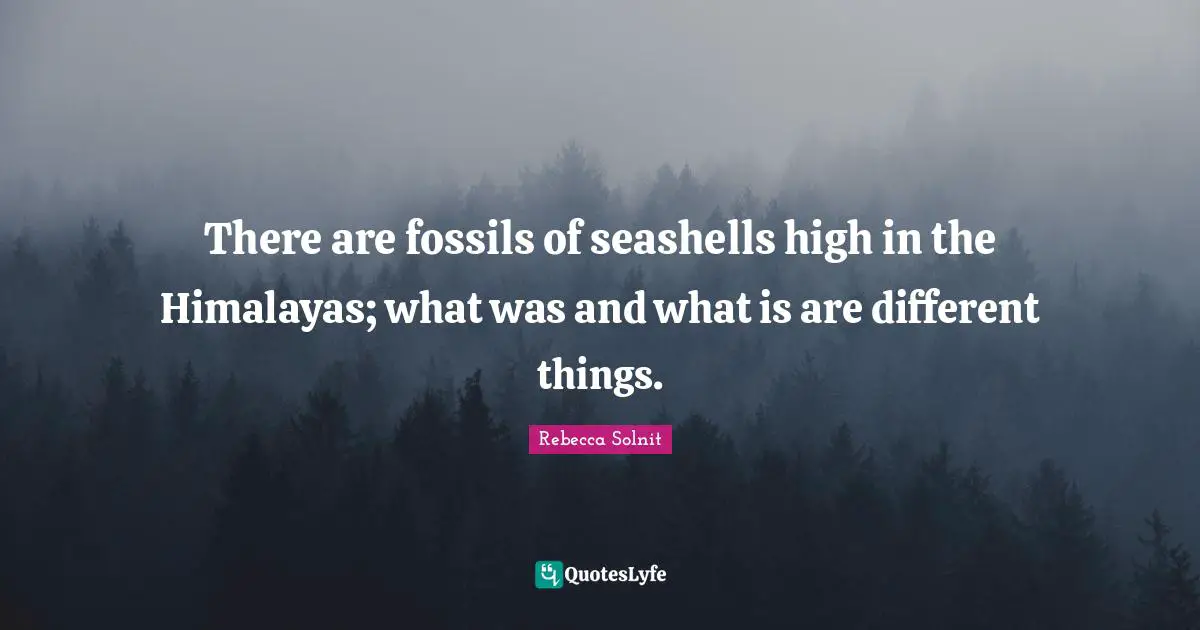 Fossils Quotes: "There are fossils of seashells high in the Himalayas; what was and what is are different things."