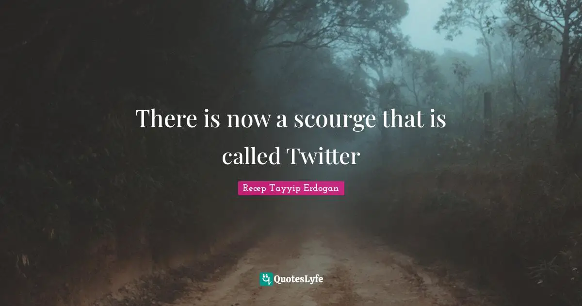 There is now a scourge that is called Twitter