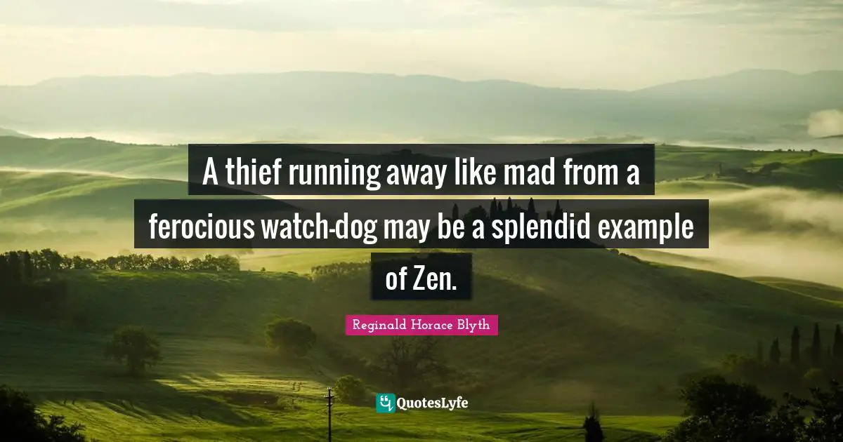 A thief running away like mad from a ferocious watch-dog may be a splendid example of Zen.