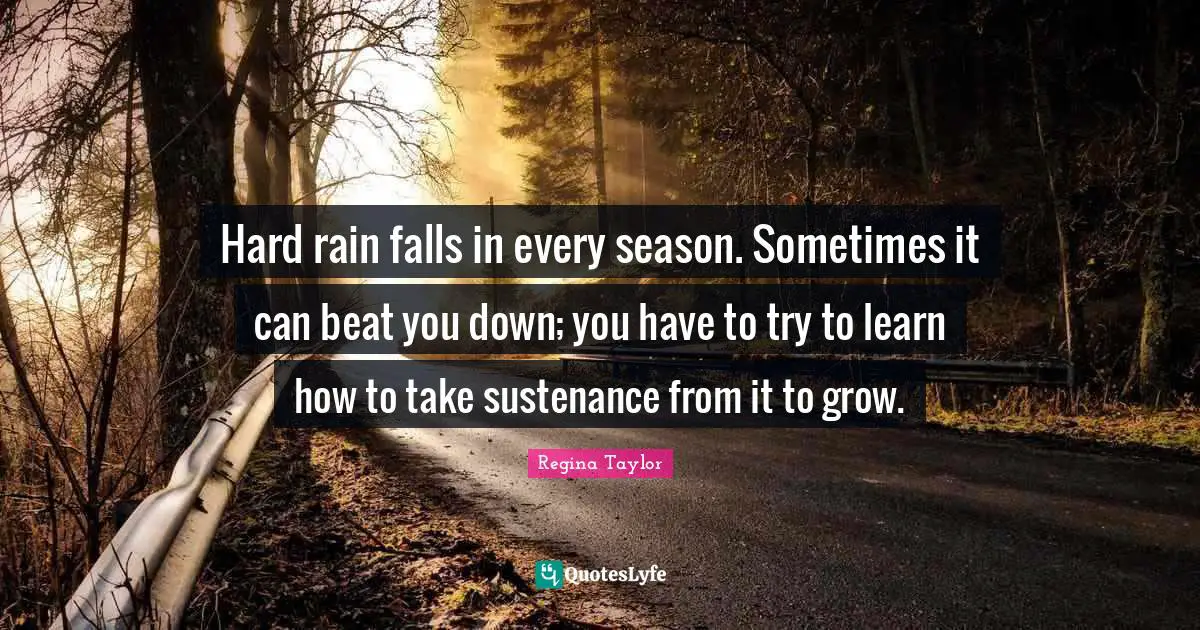 Hard rain falls in every season. Sometimes it can beat you down; you have to try to learn how to take sustenance from it to grow.