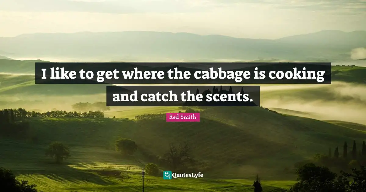 Scent Quotes: "I like to get where the cabbage is cooking and catch the scents."