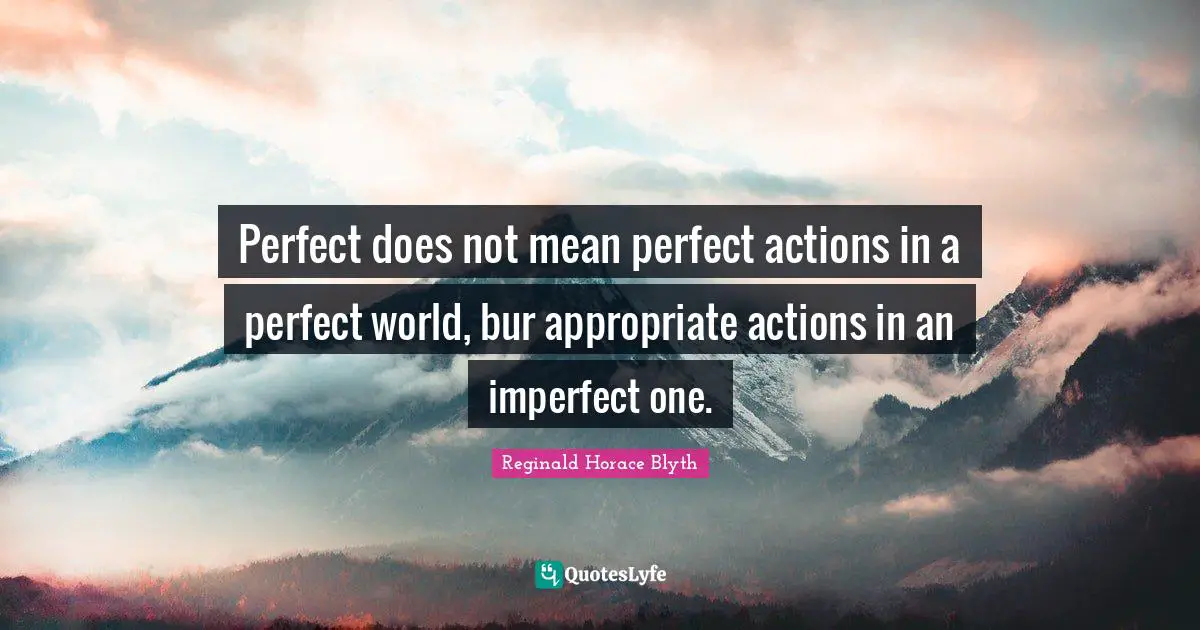 Perfect does not mean perfect actions in a perfect world, bur appropriate actions in an imperfect one.
