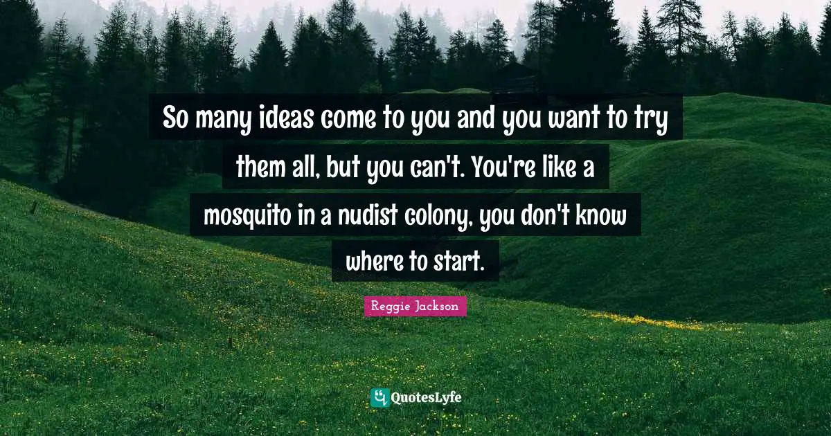 So many ideas come to you and you want to try them all, but you can't. You're like a mosquito in a nudist colony, you don't know where to start.
