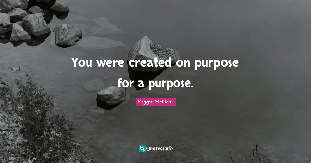 Reggie McNeal Quotes: "You were created on purpose for a purpose."