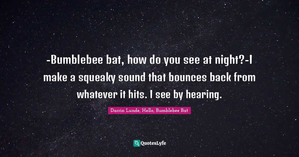 -Bumblebee bat, how do you see at night?-I make a squeaky sound that bounces back from whatever it hits. I see by hearing.