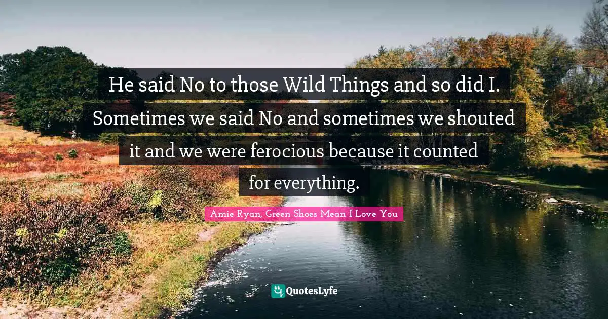 He said No to those Wild Things and so did I. Sometimes we said No and sometimes we shouted it and we were ferocious because it counted for everything.