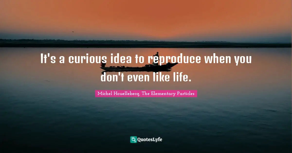 It's a curious idea to reproduce when you don't even like life.