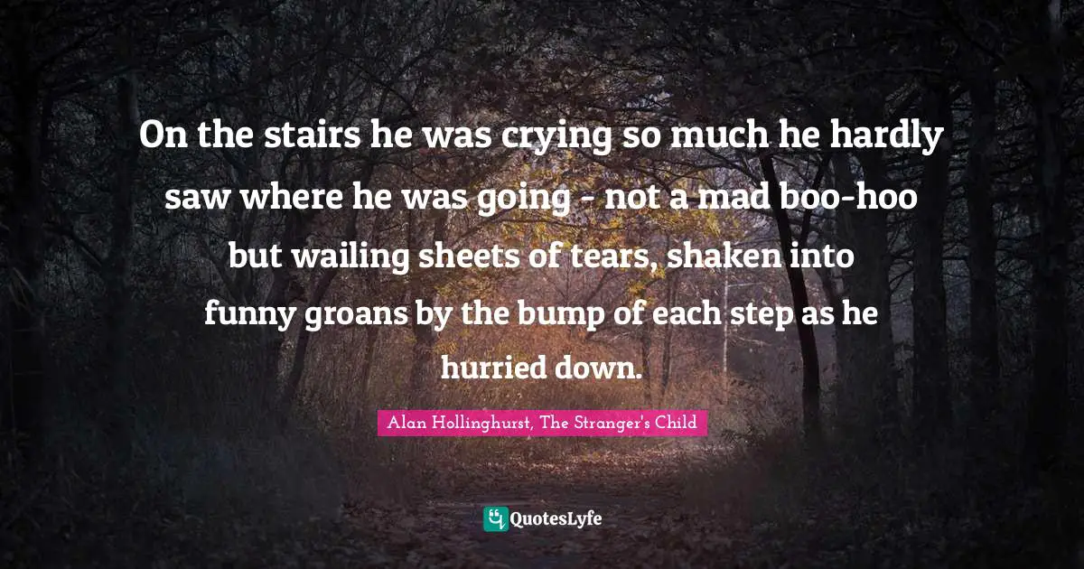 On the stairs he was crying so much he hardly saw where he was going - not a mad boo-hoo but wailing sheets of tears, shaken into funny groans by the bump of each step as he hurried down.