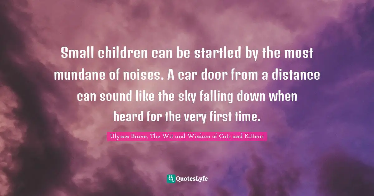 Small children can be startled by the most mundane of noises. A car door from a distance can sound like the sky falling down when heard for the very first time.