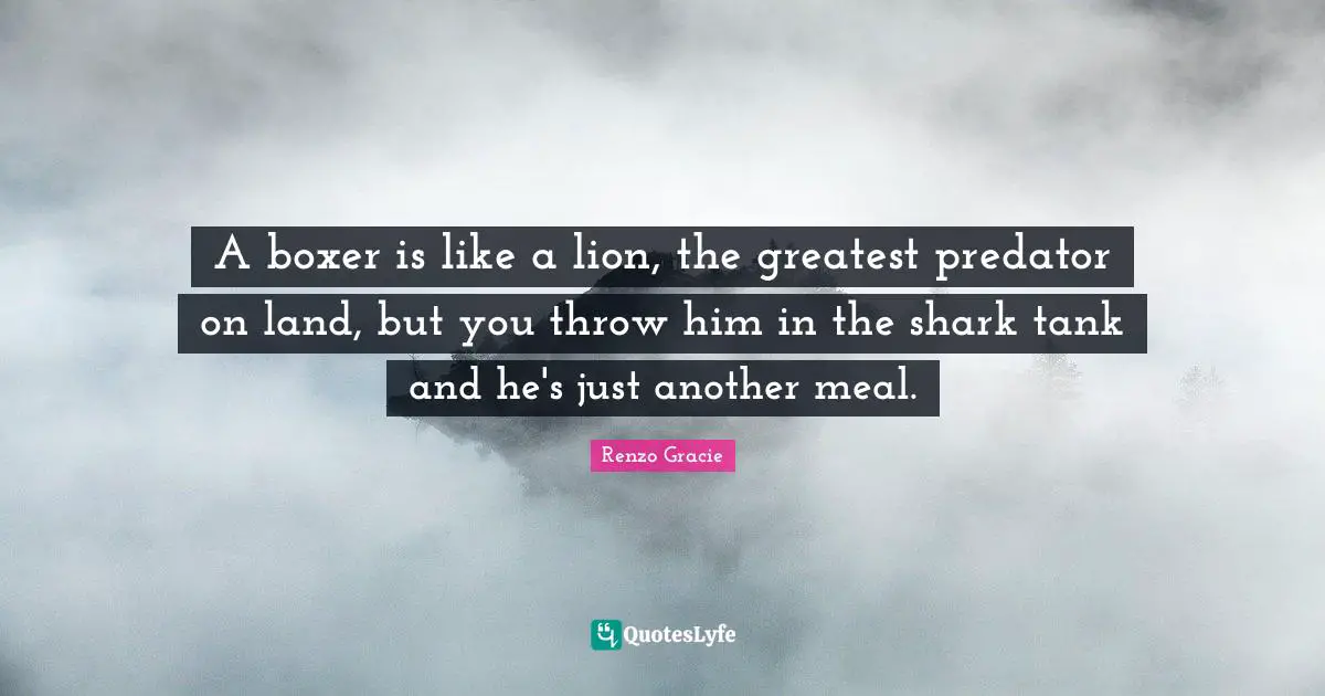 A boxer is like a lion, the greatest predator on land, but you throw him in the shark tank and he's just another meal.