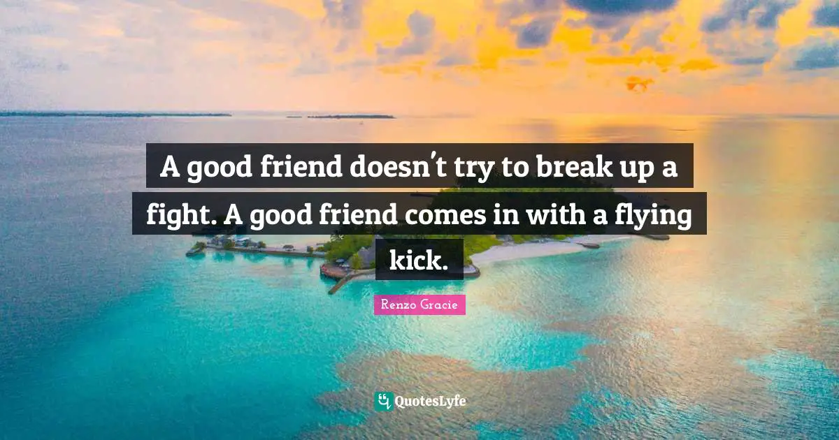 Flying Quotes: "A good friend doesn't try to break up a fight. A good friend comes in with a flying kick."