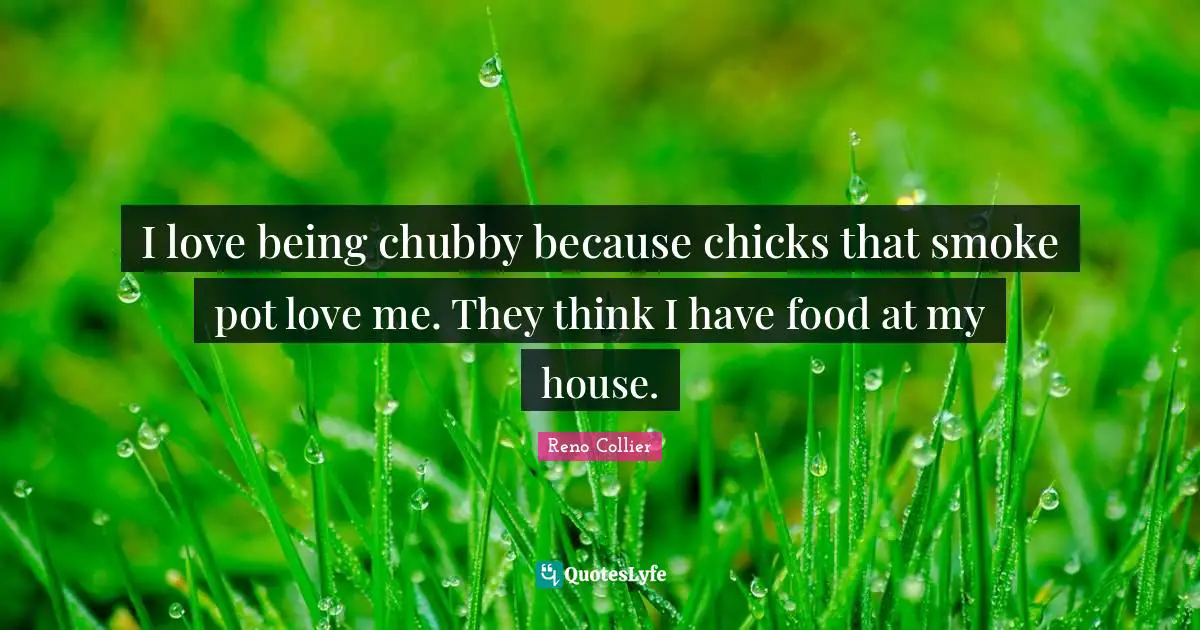 I love being chubby because chicks that smoke pot love me. They think I have food at my house.