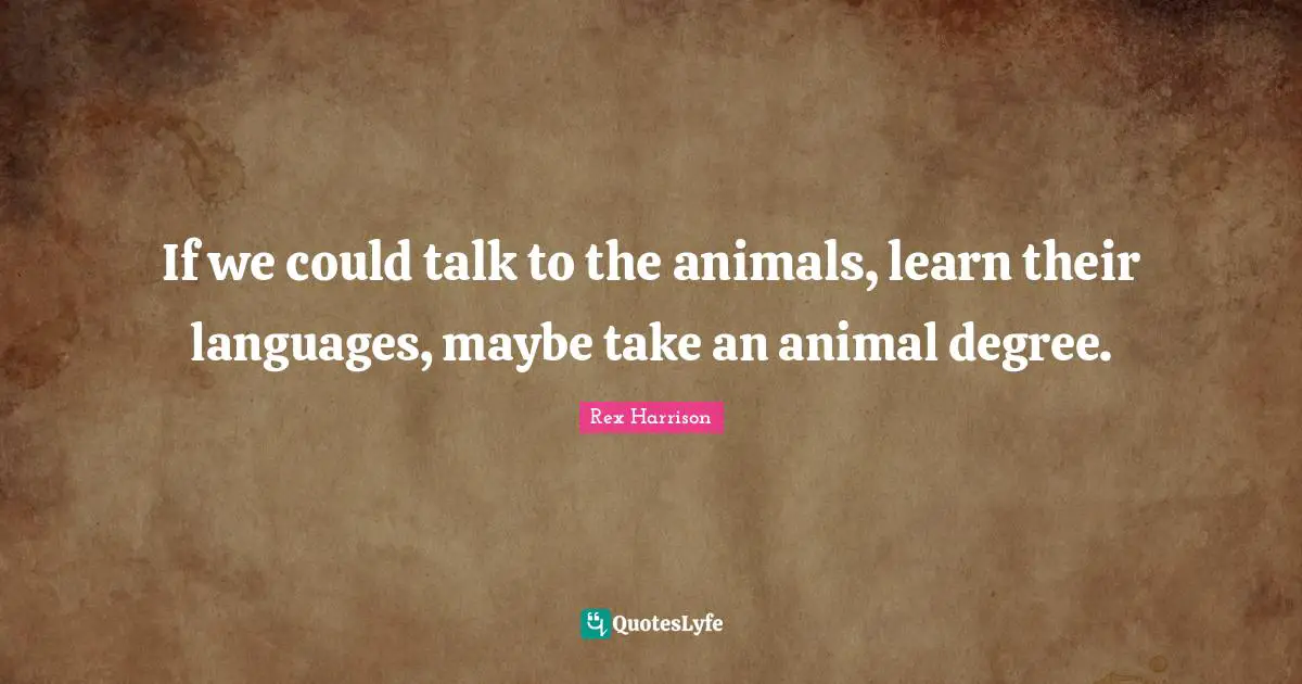 If we could talk to the animals, learn their languages, maybe take an animal degree.