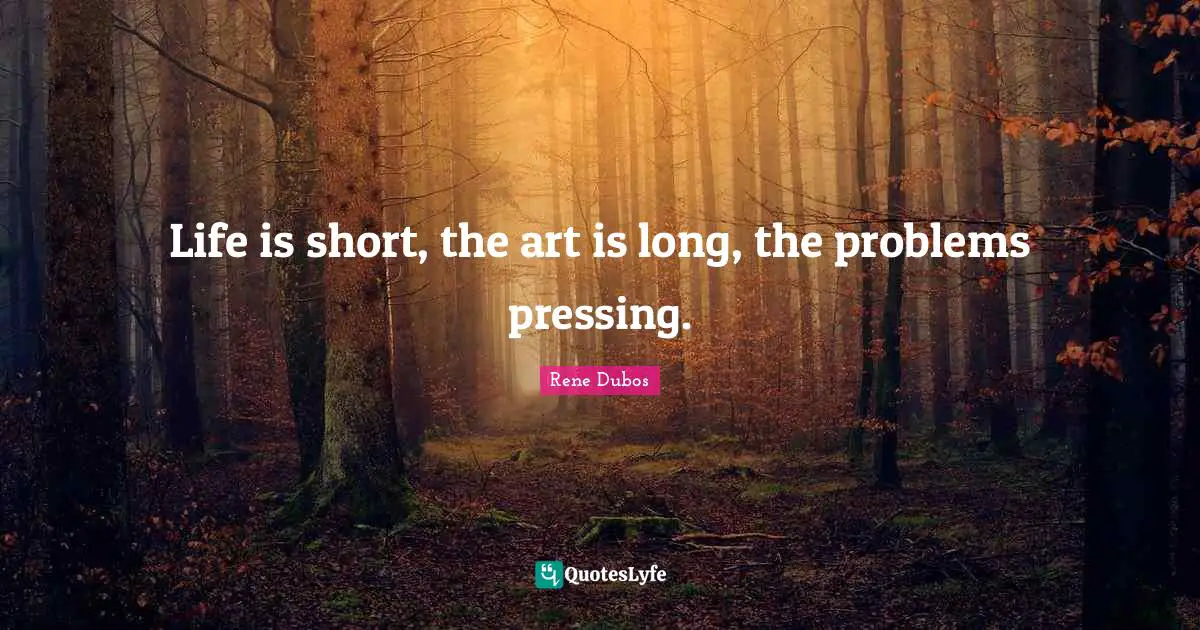 Life is short, the art is long, the problems pressing.