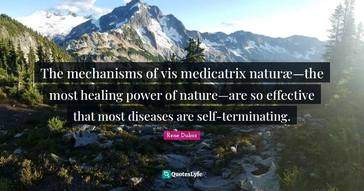 The mechanisms of vis medicatrix naturæ—the most healing power of nature—are so effective that most diseases are self-terminating.