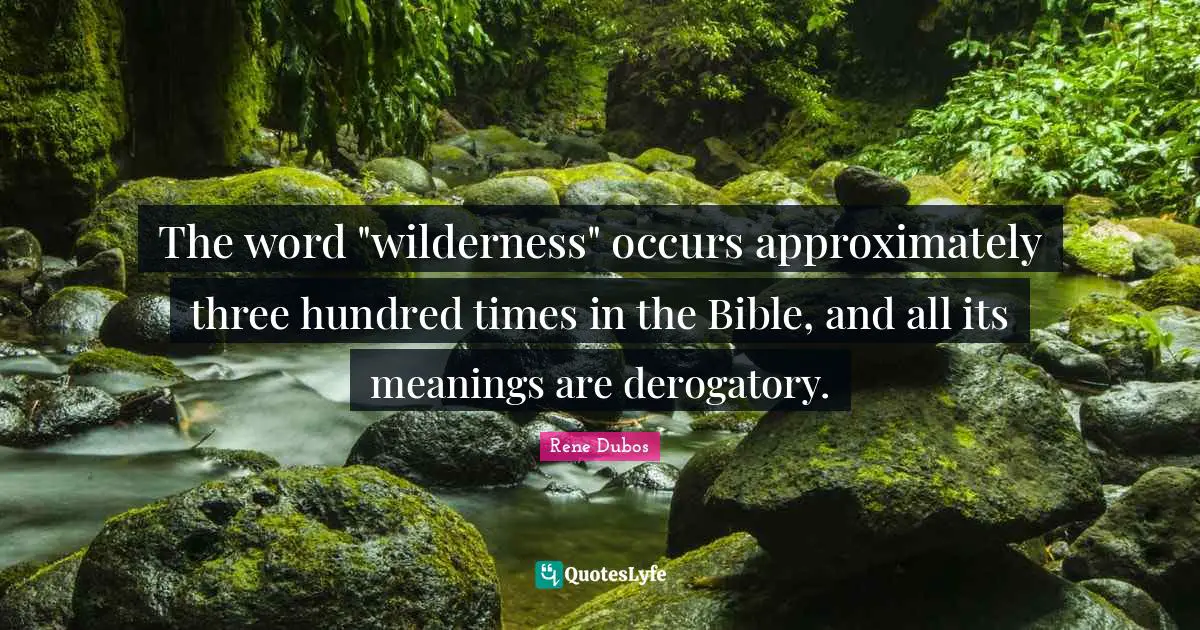 Derogatory Quotes: "The word "wilderness" occurs approximately three hundred times in the Bible, and all its meanings are derogatory."