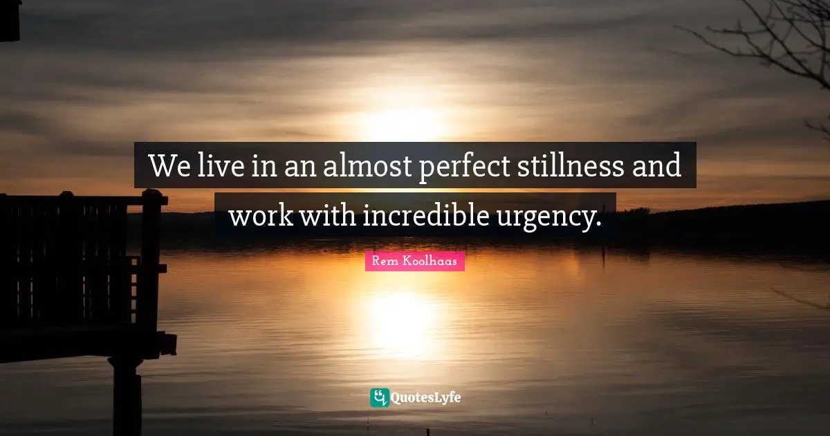 We live in an almost perfect stillness and work with incredible urgency.