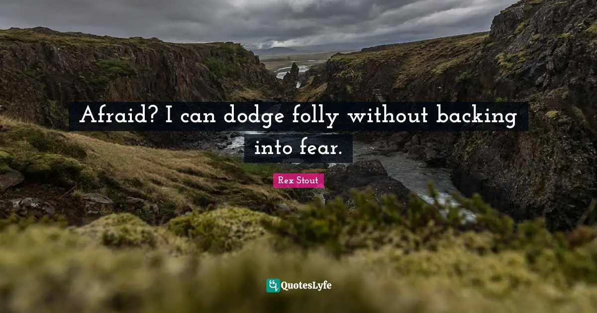 Afraid? I can dodge folly without backing into fear.