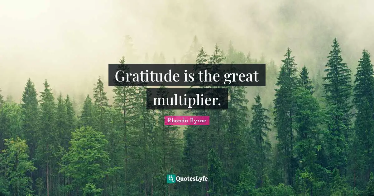 Gratitude is the great multiplier.