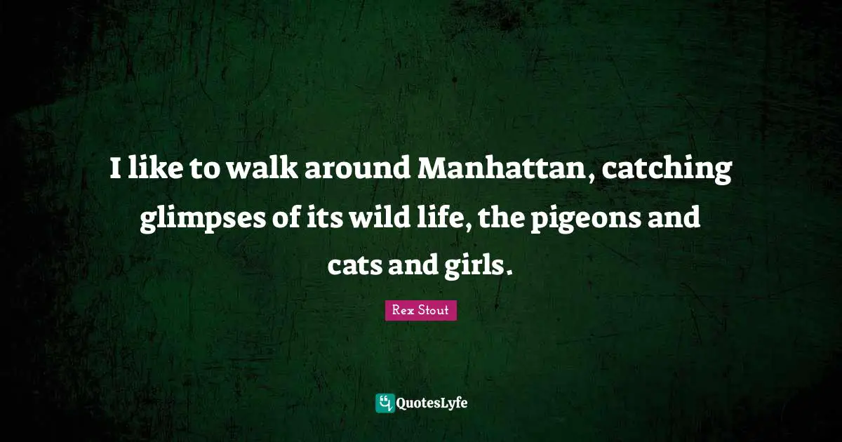 I like to walk around Manhattan, catching glimpses of its wild life, the pigeons and cats and girls.