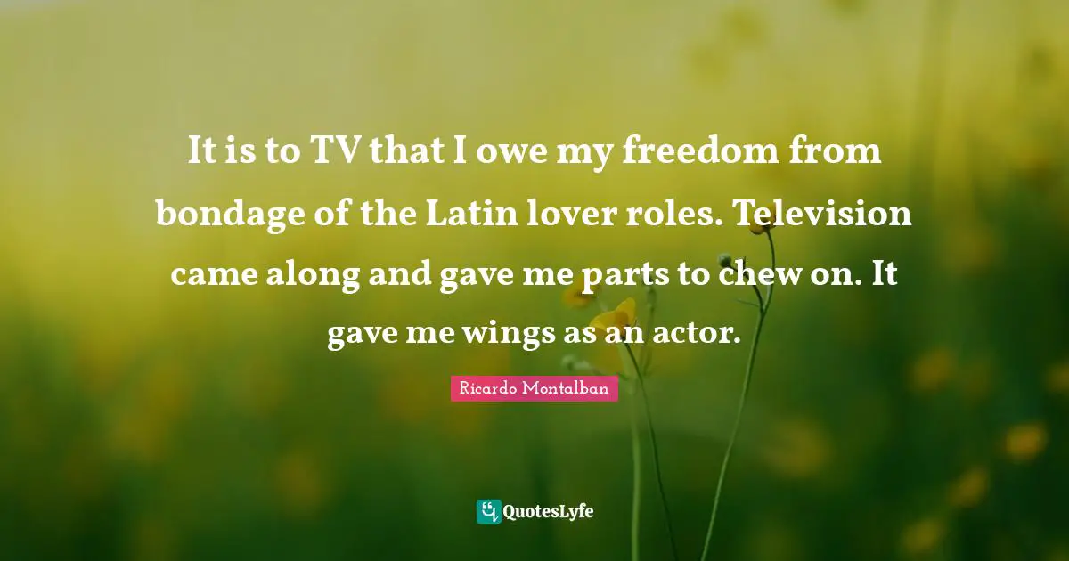 It is to TV that I owe my freedom from bondage of the Latin lover roles. Television came along and gave me parts to chew on. It gave me wings as an actor.