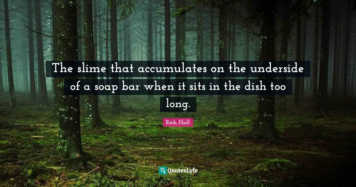 Rich Hall Quotes: "The slime that accumulates on the underside of a soap bar when it sits in the dish too long."