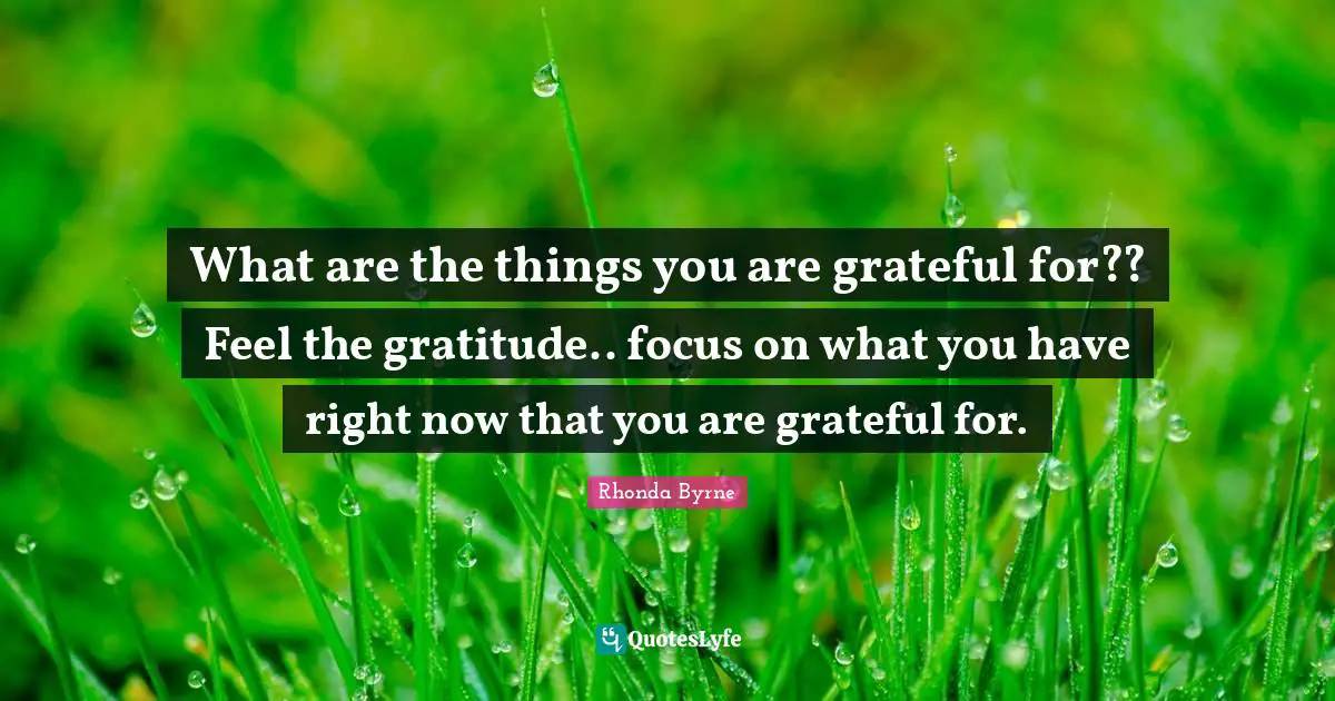 What are the things you are grateful for?? Feel the gratitude.. focus on what you have right now that you are grateful for.