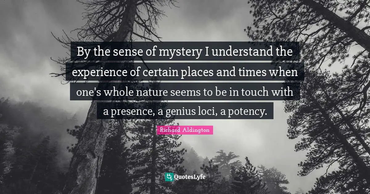 By the sense of mystery I understand the experience of certain places and times when one's whole nature seems to be in touch with a presence, a genius loci, a potency.