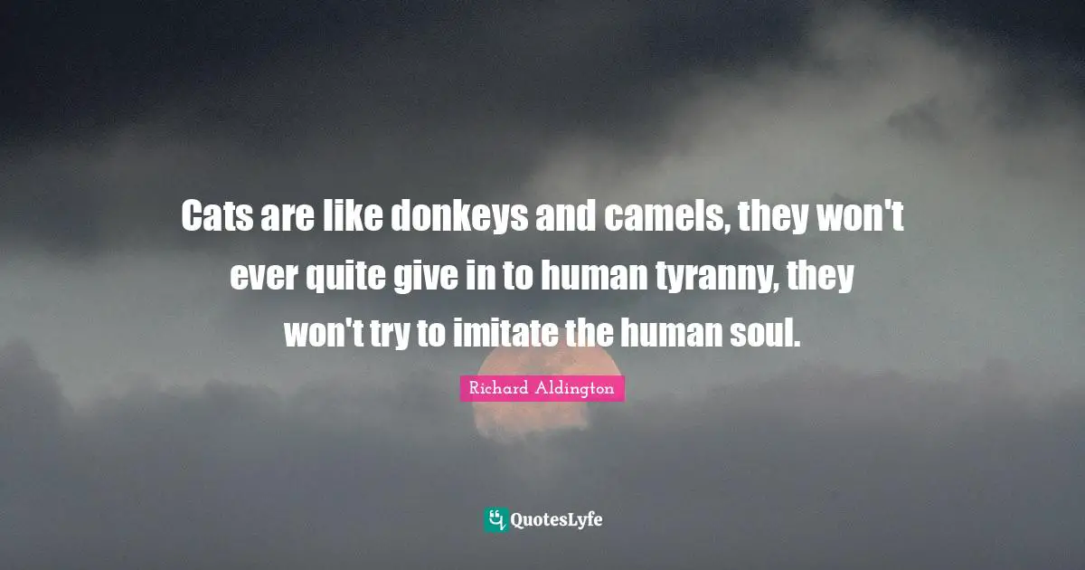 Camels Quotes: "Cats are like donkeys and camels, they won't ever quite give in to human tyranny, they won't try to imitate the human soul."
