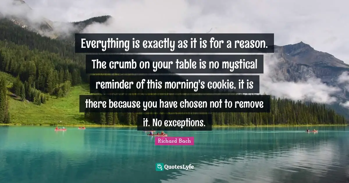 Everything is exactly as it is for a reason. The crumb on your table is no mystical reminder of this morning's cookie, it is there because you have chosen not to remove it. No exceptions.