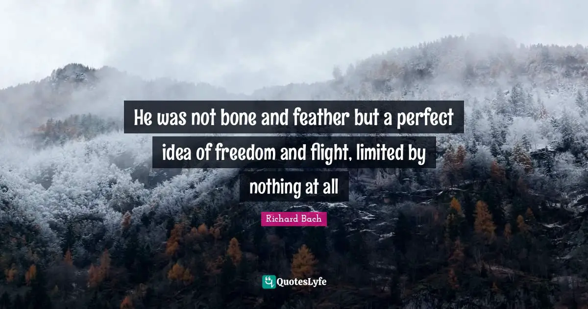 He was not bone and feather but a perfect idea of freedom and flight, limited by nothing at all
