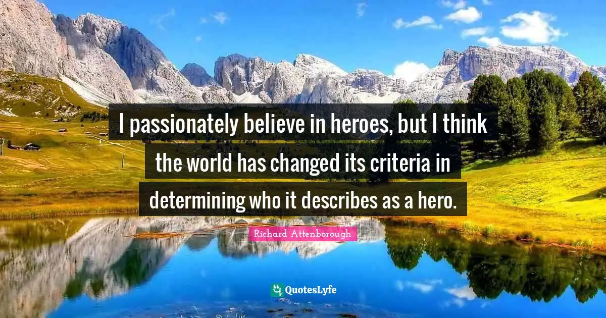 I passionately believe in heroes, but I think the world has changed its criteria in determining who it describes as a hero.