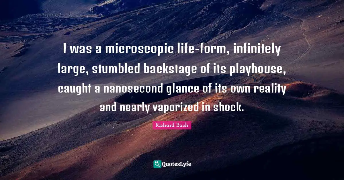 I was a microscopic life-form, infinitely large, stumbled backstage of its playhouse, caught a nanosecond glance of its own reality and nearly vaporized in shock.