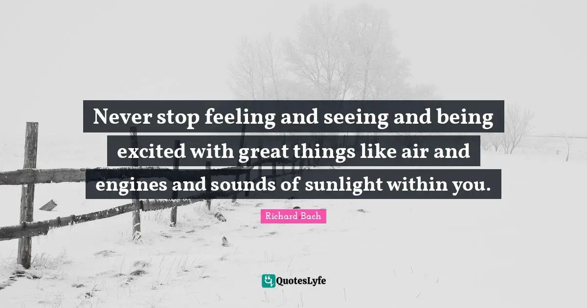 Do Great Things Quotes: "Never stop feeling and seeing and being excited with great things like air and engines and sounds of sunlight within you."