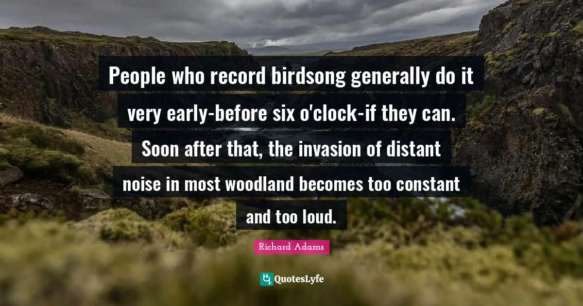 People who record birdsong generally do it very early-before six o'clock-if they can. Soon after that, the invasion of distant noise in most woodland becomes too constant and too loud.