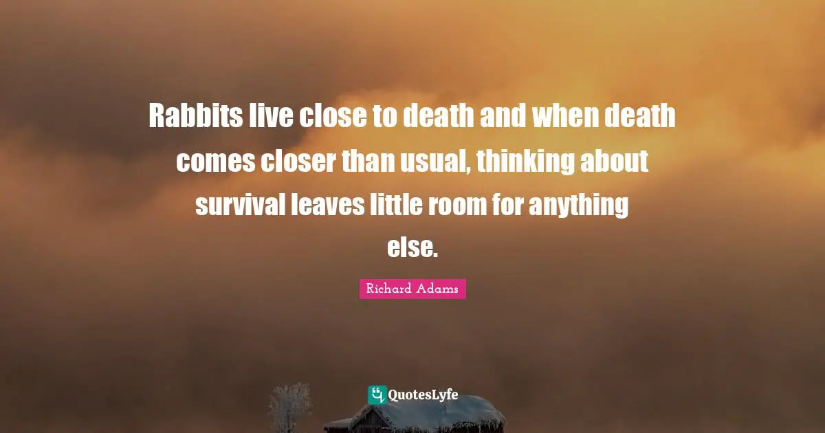 Rabbits live close to death and when death comes closer than usual, thinking about survival leaves little room for anything else.