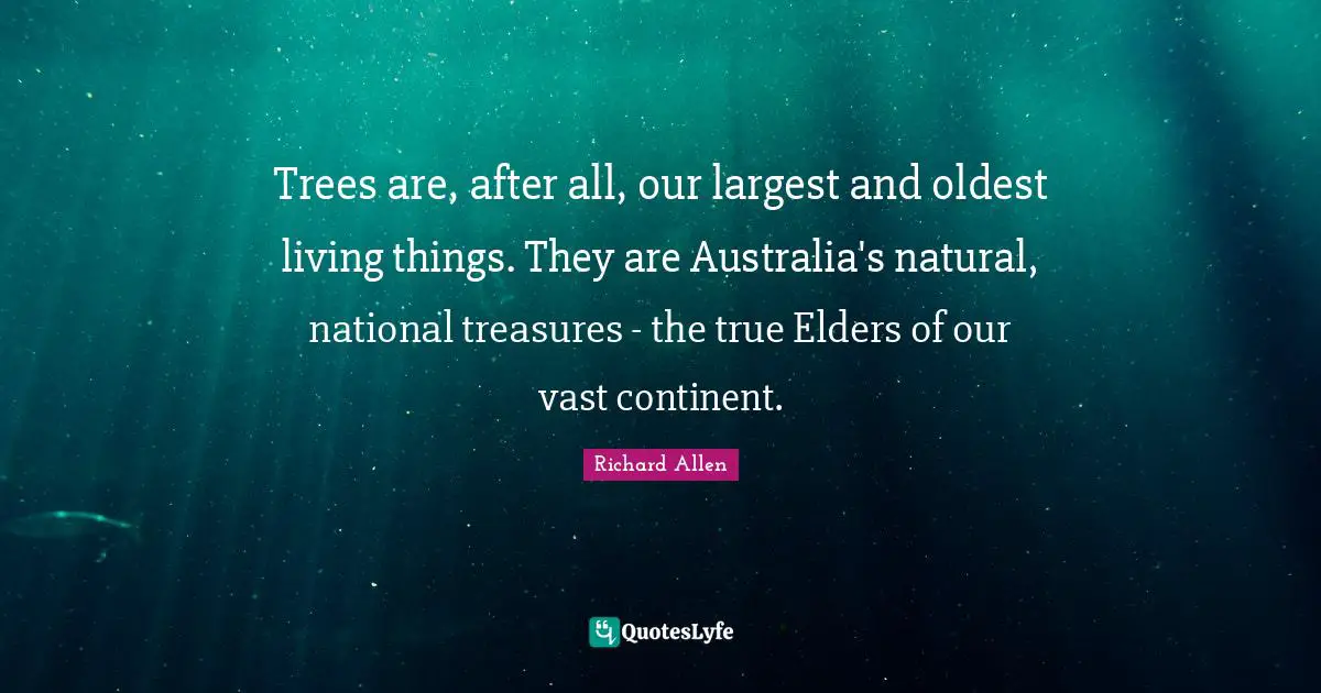 Trees are, after all, our largest and oldest living things. They are Australia's natural, national treasures - the true Elders of our vast continent.