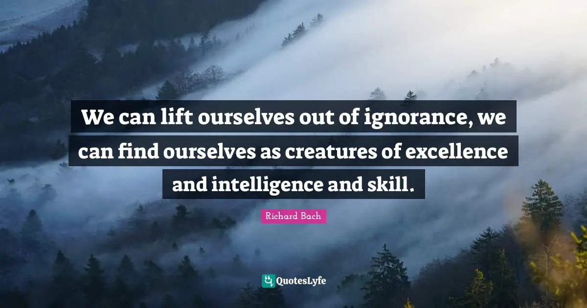 We can lift ourselves out of ignorance, we can find ourselves as creatures of excellence and intelligence and skill.